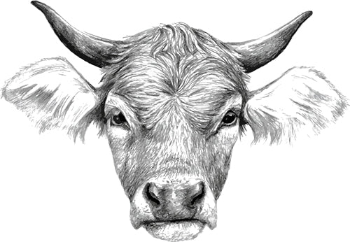 Beef garum